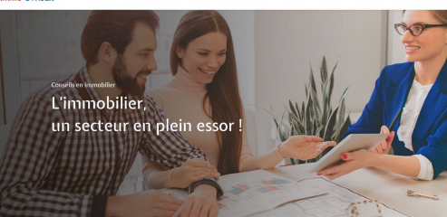 https://www.immo-consult.fr