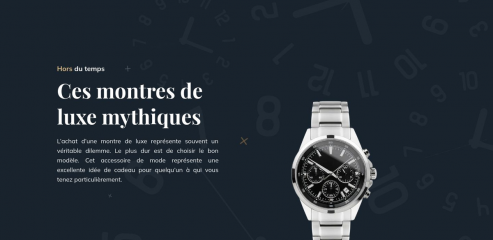 https://www.boutiquedemontres.fr